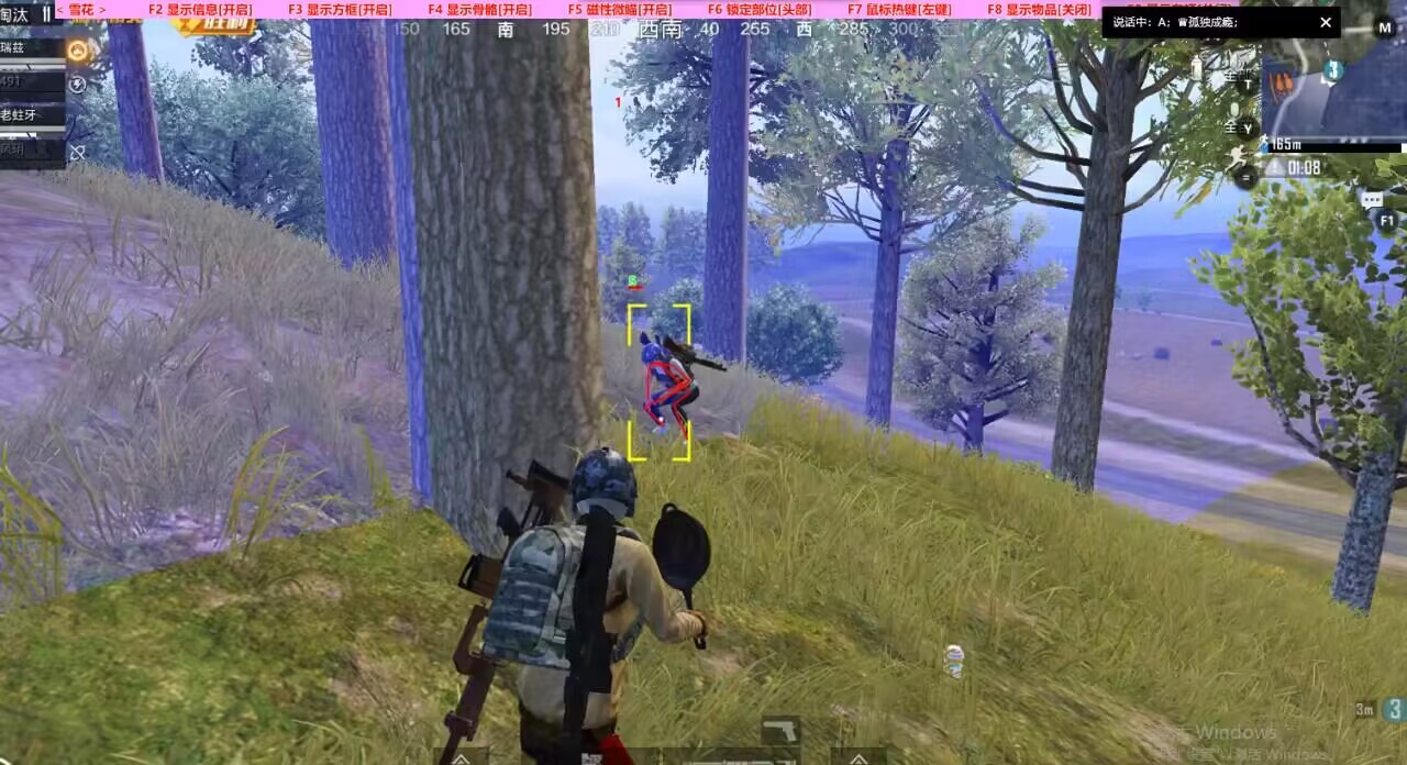 和平精英辅助【EAP+雷神】